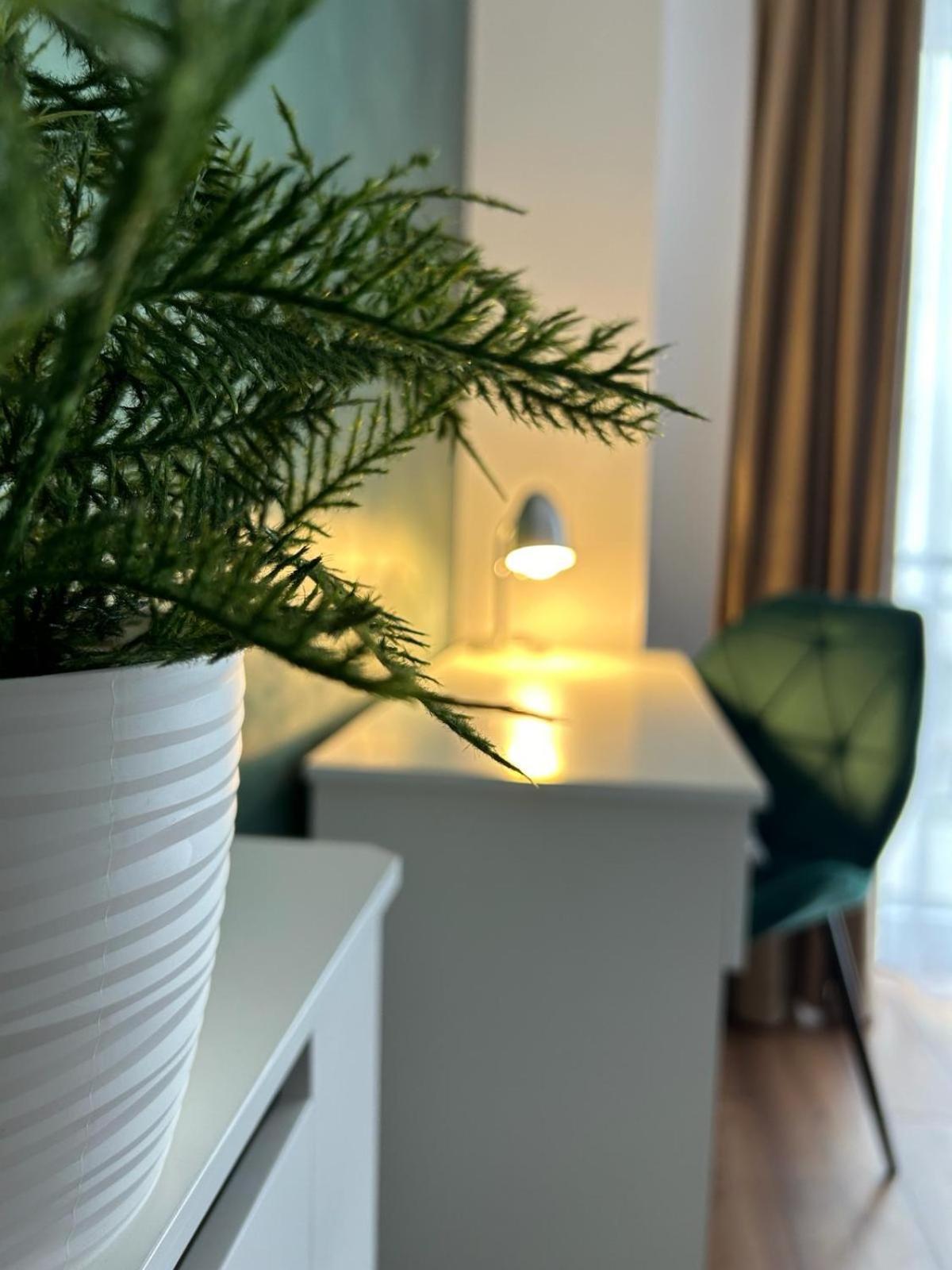 Central Cosy Apartment Cluj-Napoca Exteriör bild